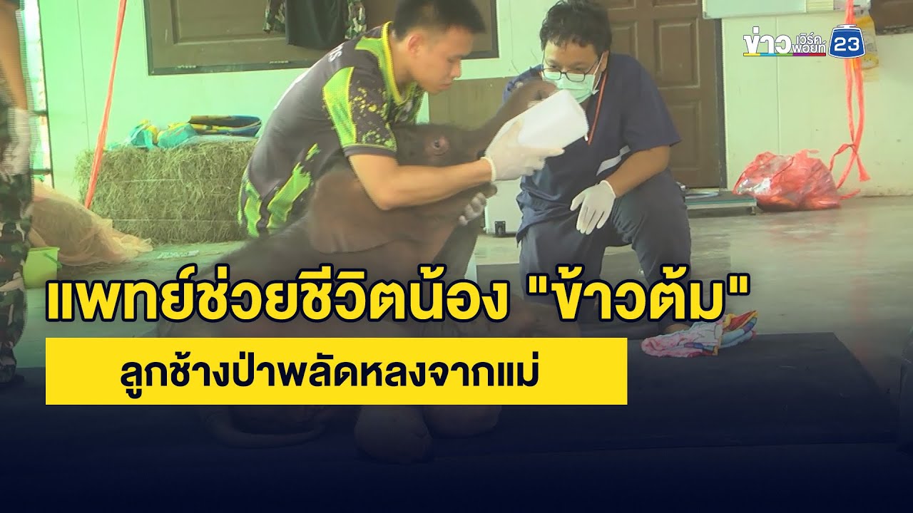 แพทย์ช่วยชีวิตน้อง 