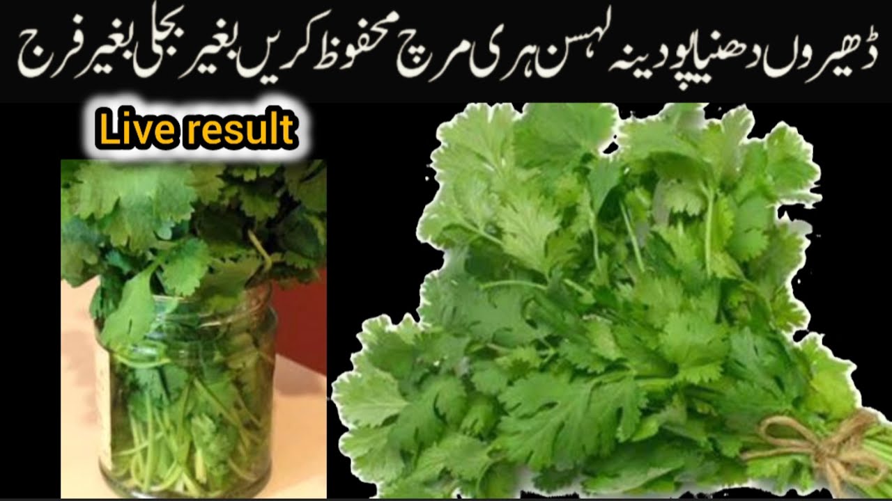 🔴Methi Katne Ka Tez Tareen Tarika With Comb😱 /How To Keep Kitchen Clean And Organized/ Kitchen tips