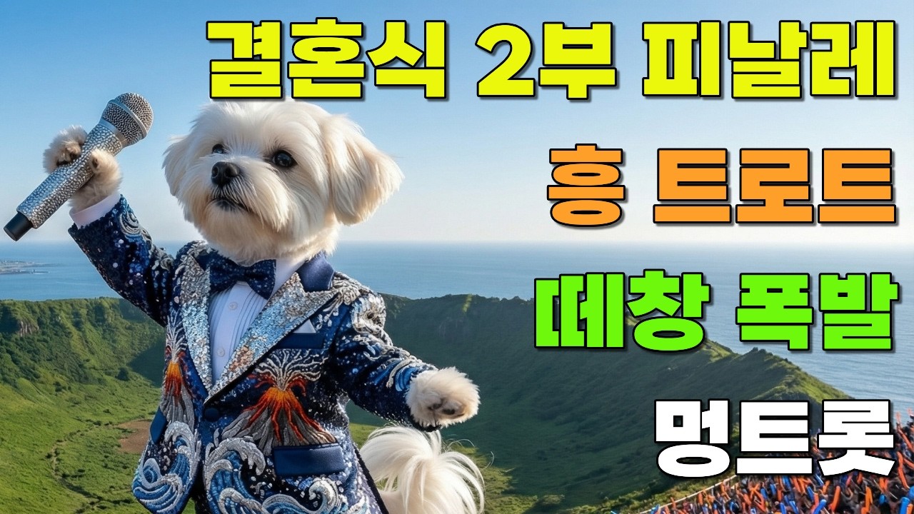 [플레이리스트] 💍결혼식 2부 피날레 흥트로트 🎤축하춤+떼창 폭발 신나는 메들리 연속듣기 | 멍트롯