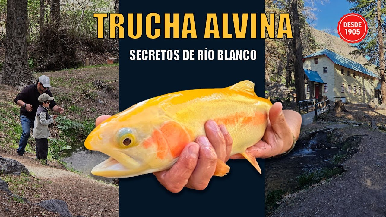 Piscicultura Río Blanco - El lugar que cambió la pesca en Chile PARA SIEMPRE