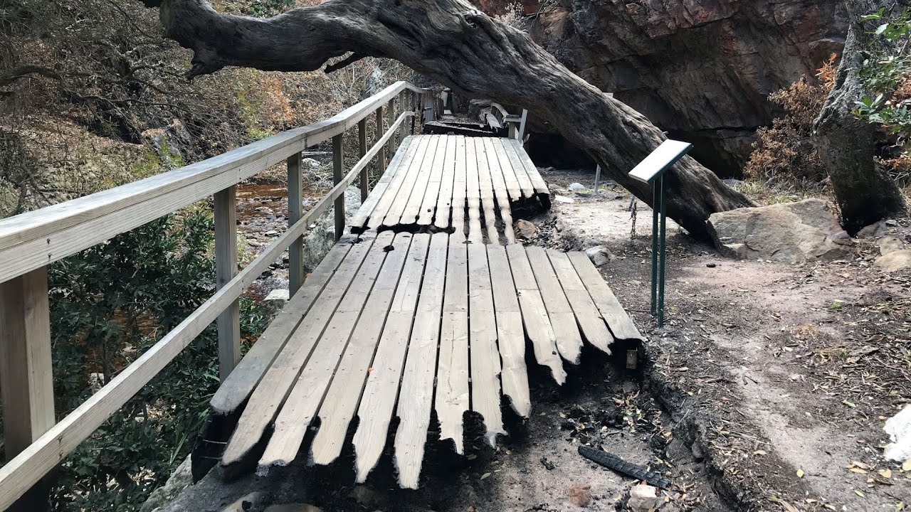 Betty's Bay - the big fire