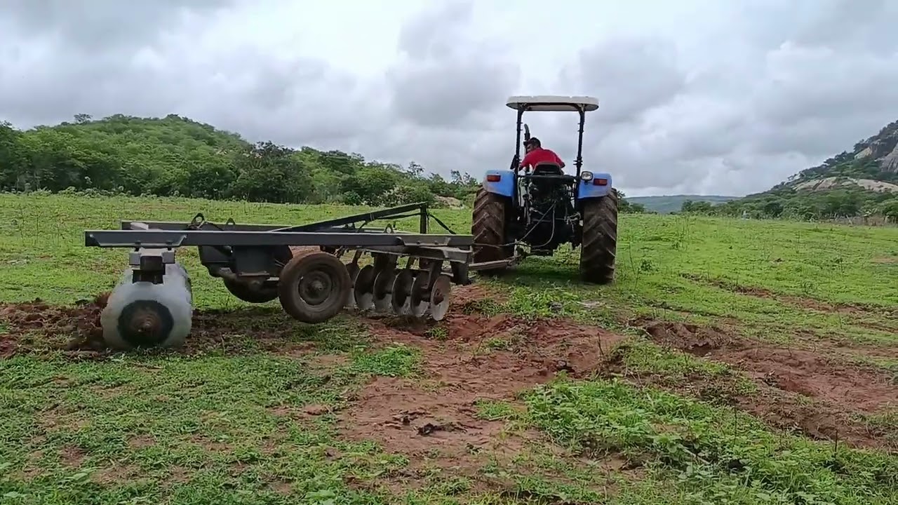 Trato cortando a terra 