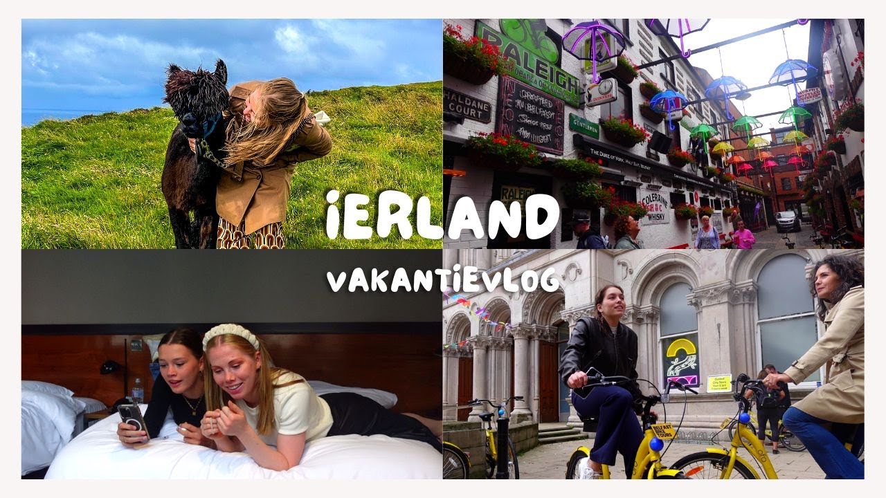 SCHEIDINGSMUUR door Belfast van 15 METER hoog & Wandelen met ALPACA' S // Weekvlog 147