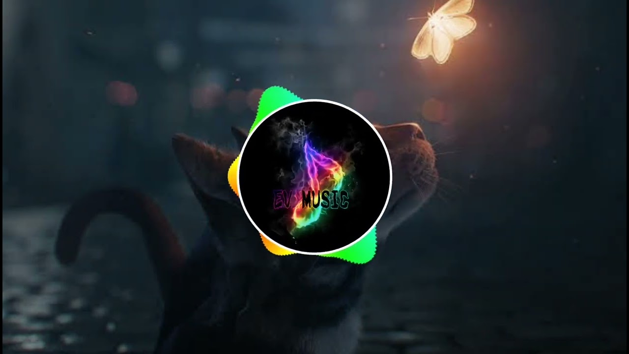 EV music - cat melody
