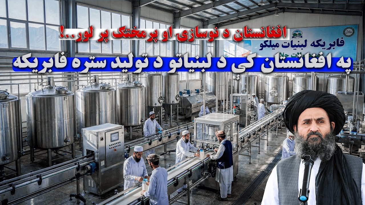 د وطن تولید | په کندهار کې د ملکـو لبنیاتو فابریکه؛ له تازه شېدو تر معیاري او صادراتي محصولاتو
