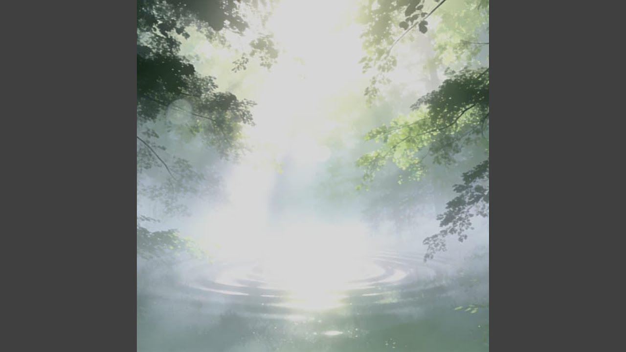 Morning Mist Between Trees