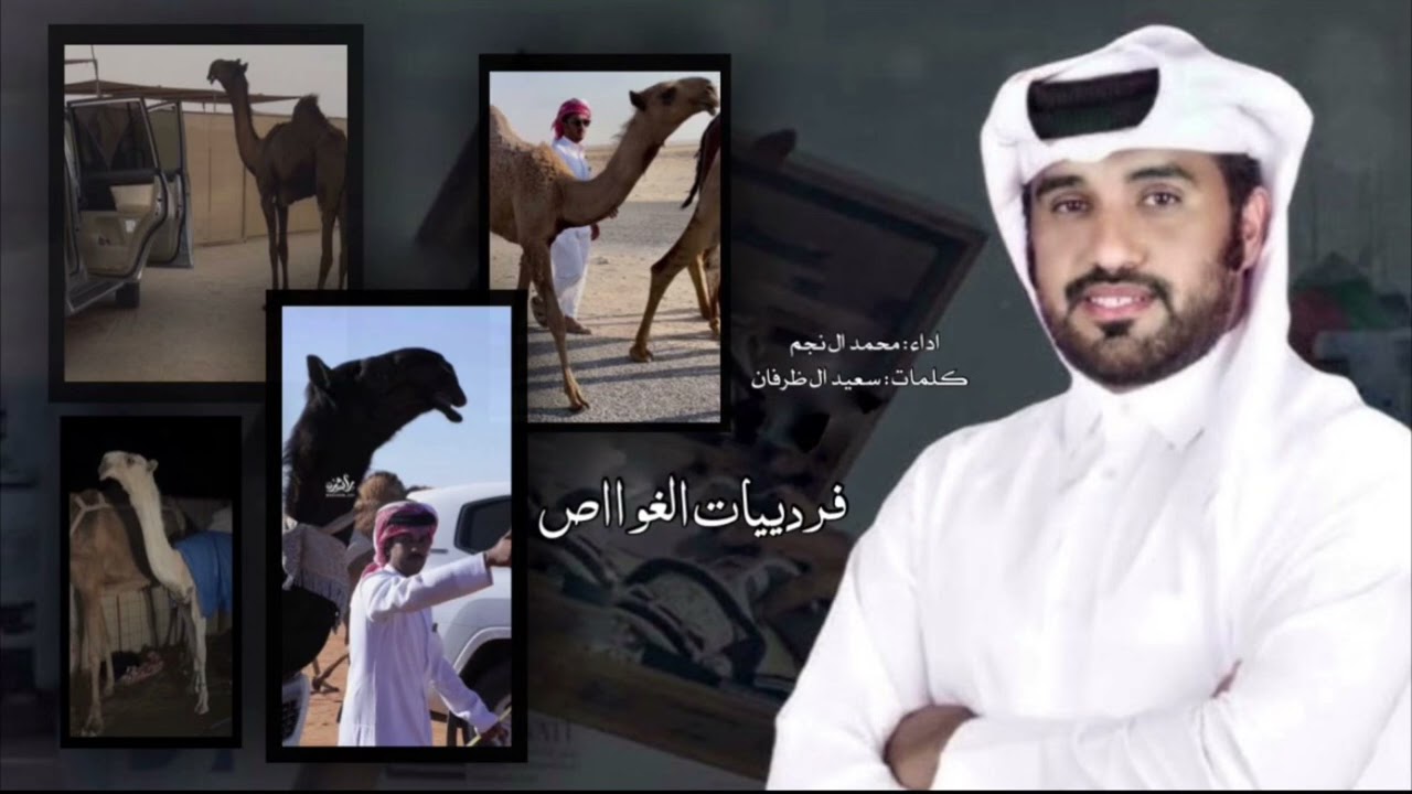 فرديات الغواص | سعيد ال ظرفان ، محمد ال نجم 2024