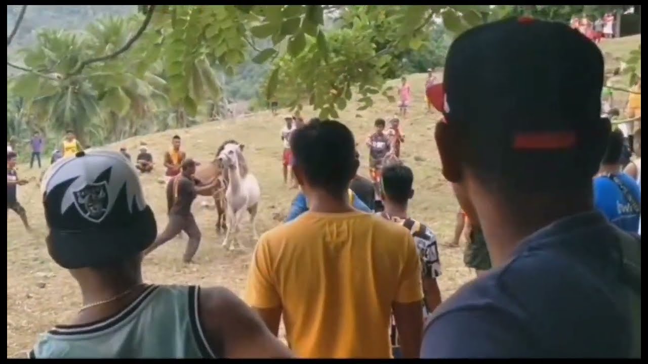 FIESTA SA AMING BUKID NAGPALARO SILA KARAMBULA NG MGA KABAYO||Ann Pabillar vlogs
