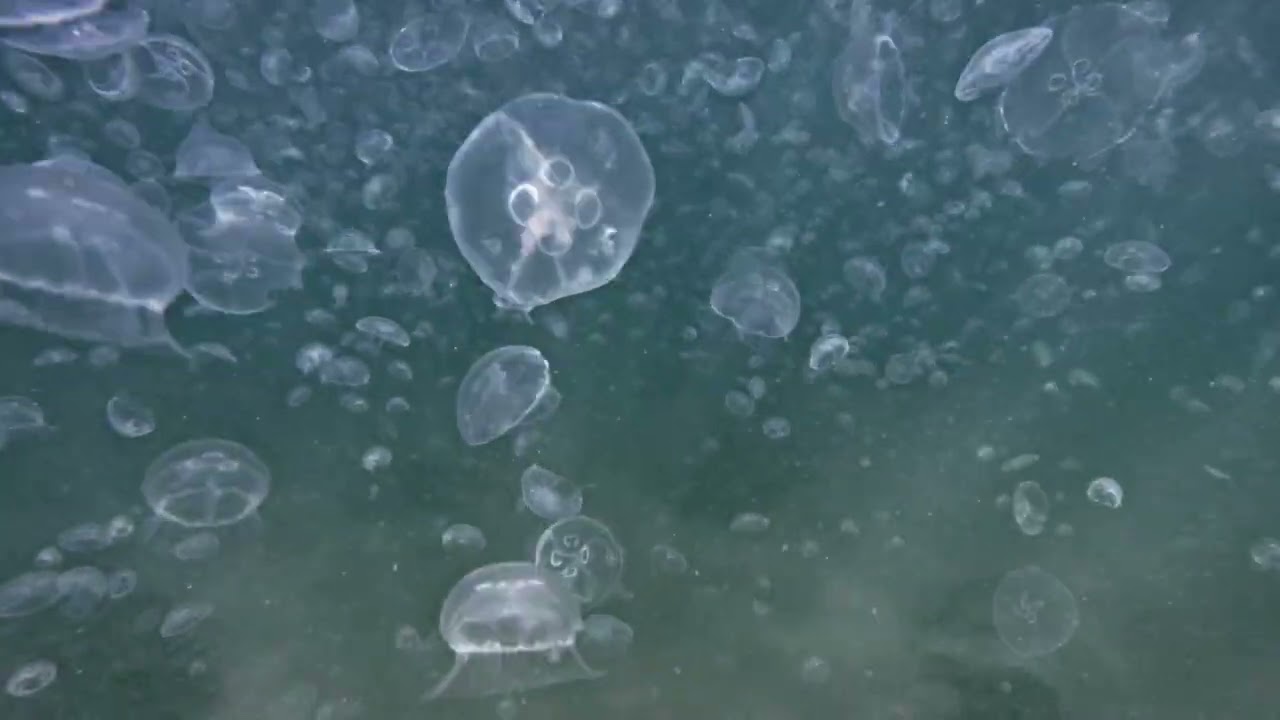 Чёрное море 🌊 200 GoPro