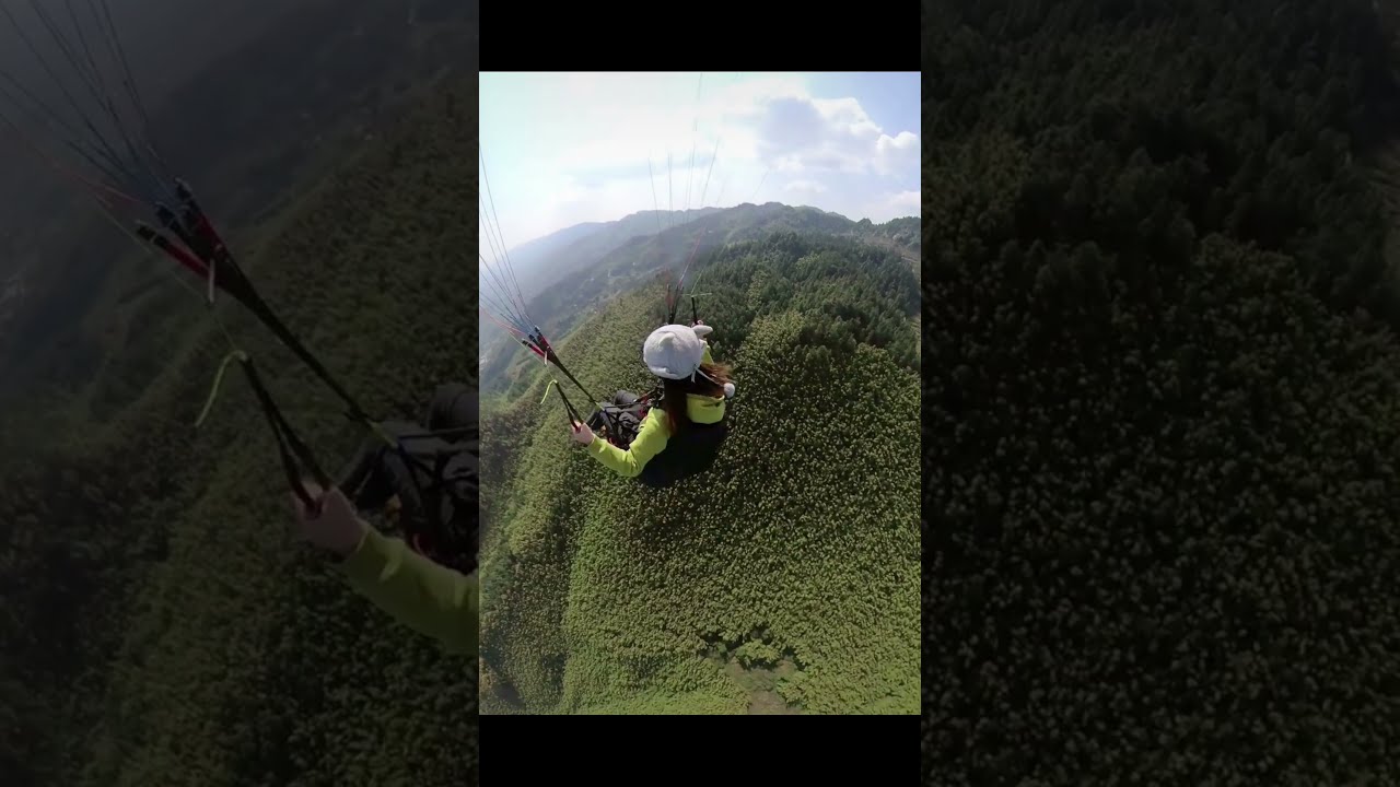 Paraglider 71
