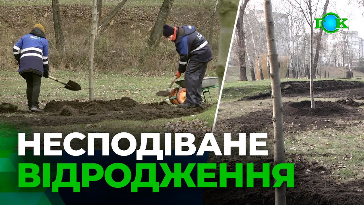 Паркове озеро вже не залишиться таким, яким ви його запам’ятали!
