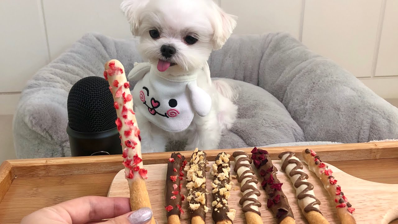 ASMR]널 위해 준비했어 핸드메이드 빼빼로🍭[리얼사운드 먹방dog mukbang]/강아지 빼빼로 간식