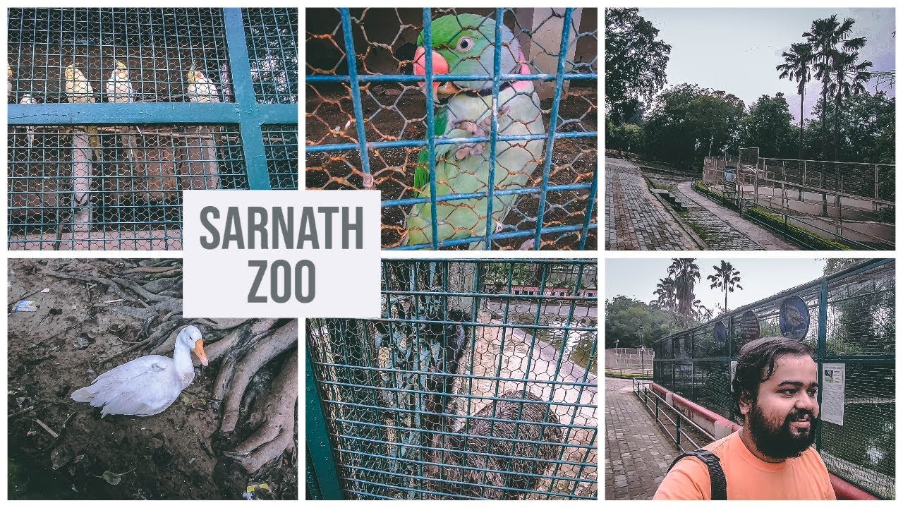 Varanasi Tourist Places - Sarnath Zoo Ghar Travel Vlog | Banaras Deer Park | सारनाथ चिड़ियाघर