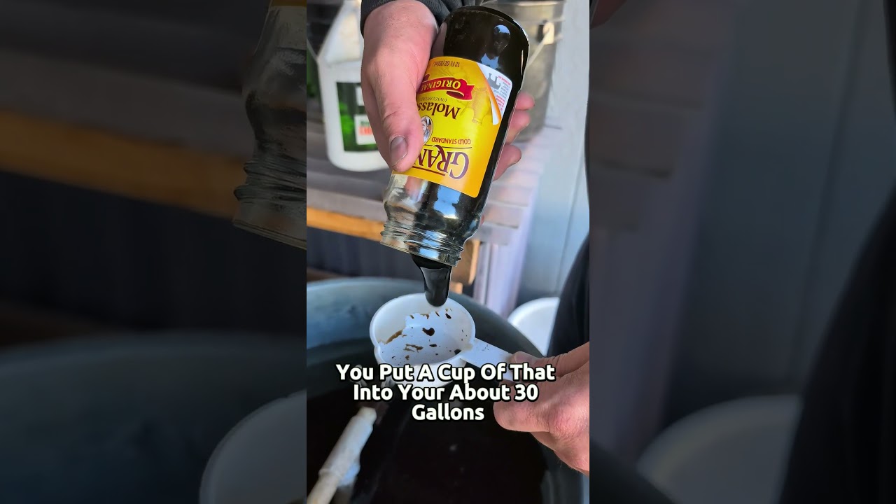 How To Make Compost Tea!