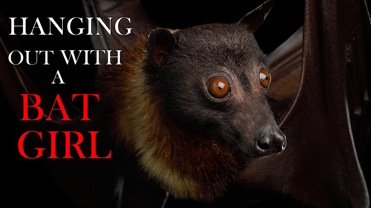 Hanging Out With the Bat Girl in Your Attic | ASMR Roleplay | (F4A) | wholesome | sleep aid |