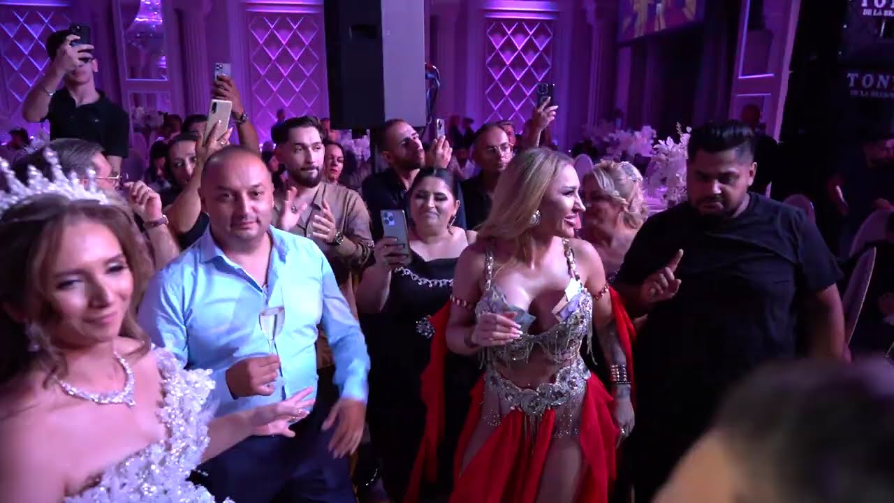 Luis Gabriel 2024 nunta Ariciu si Iulia 1 movie