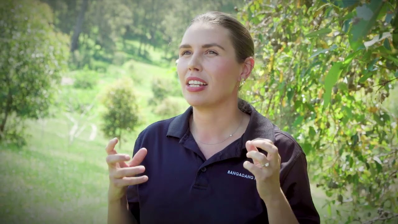 Bee Friendly Farming Case Study - Bangadang Farm