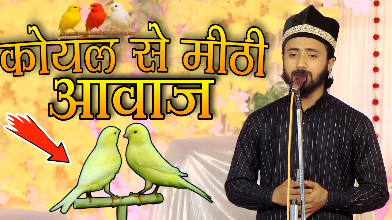 Koyal Se Midhe Awaz || कोयल से मीठी आवाज ||Shamsad Ahmad Nepali Ki Naat || 29 january 2026 Amardobha