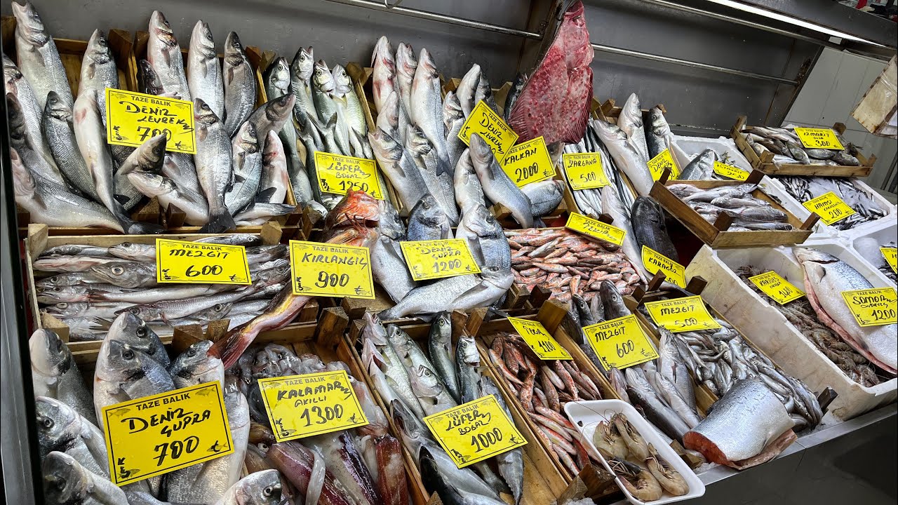 04.03.2026 Günlük taze balık Çeşitlerimiz gelmiştir..🎣🐟🌊🍽️🐠