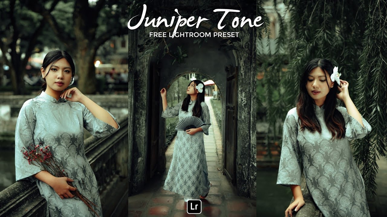 Juniper Tone Lightroom Preset | Lightroom Mobile Preset Free DNG | color grading | lightroom presets