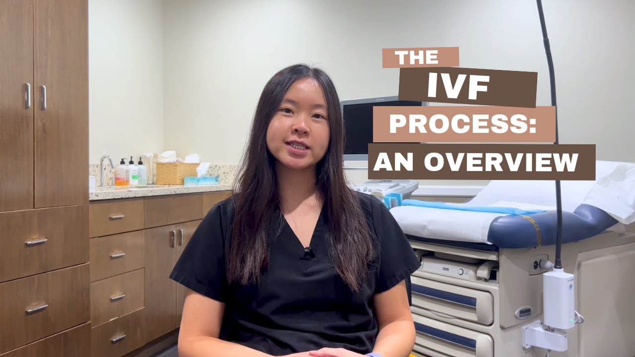 How Does the IVF Process Work?