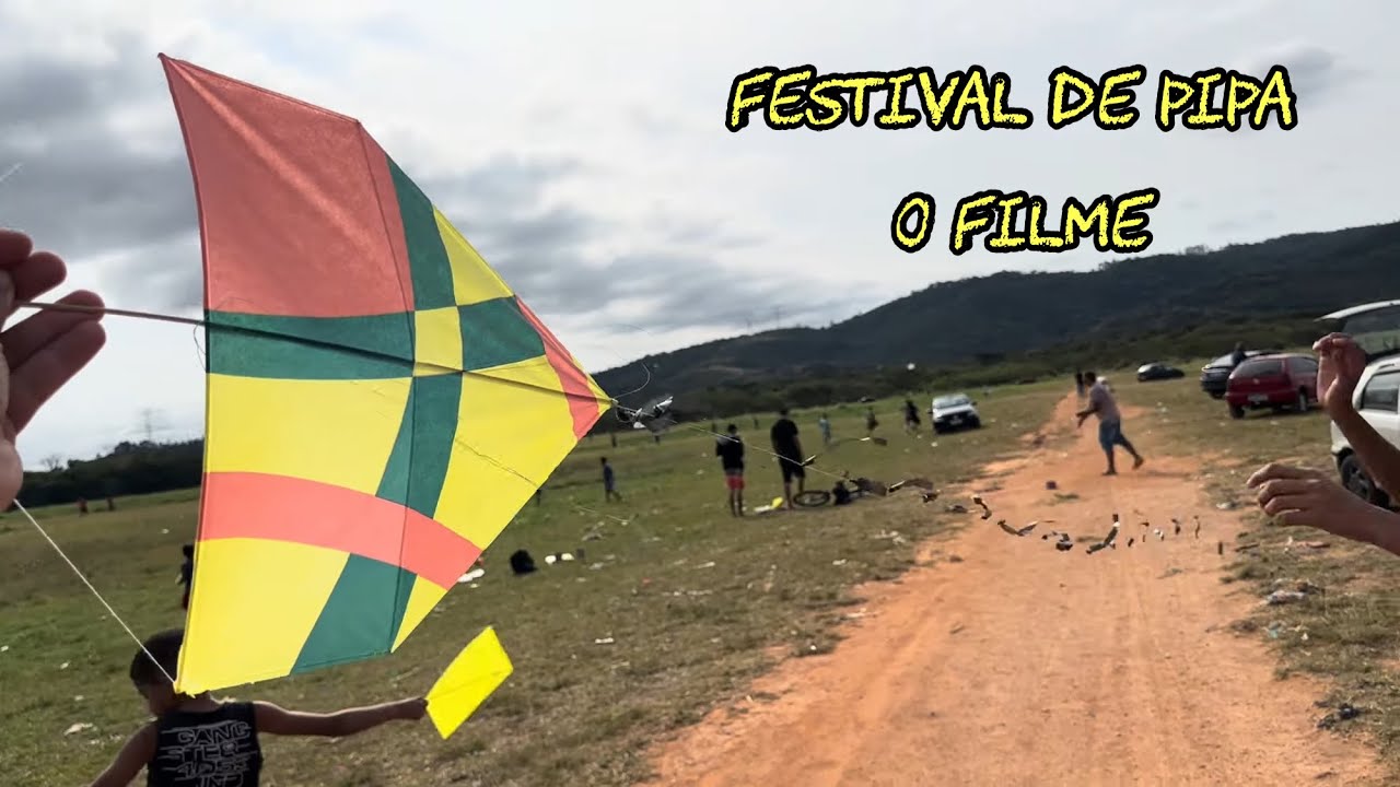 FESTIVAL DE PIPA O FILME