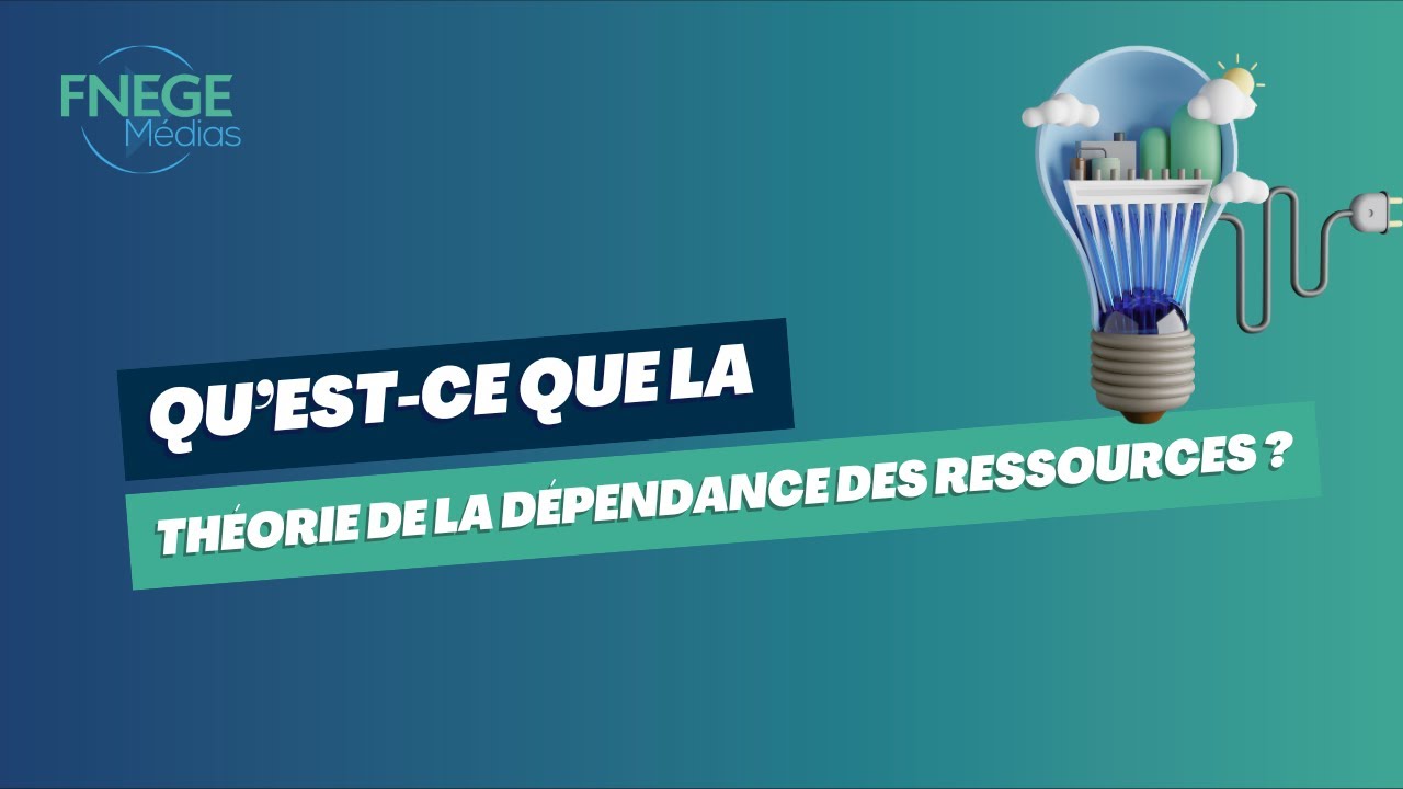 Qu’est-ce que la Théorie de la dépendance des ressources ?