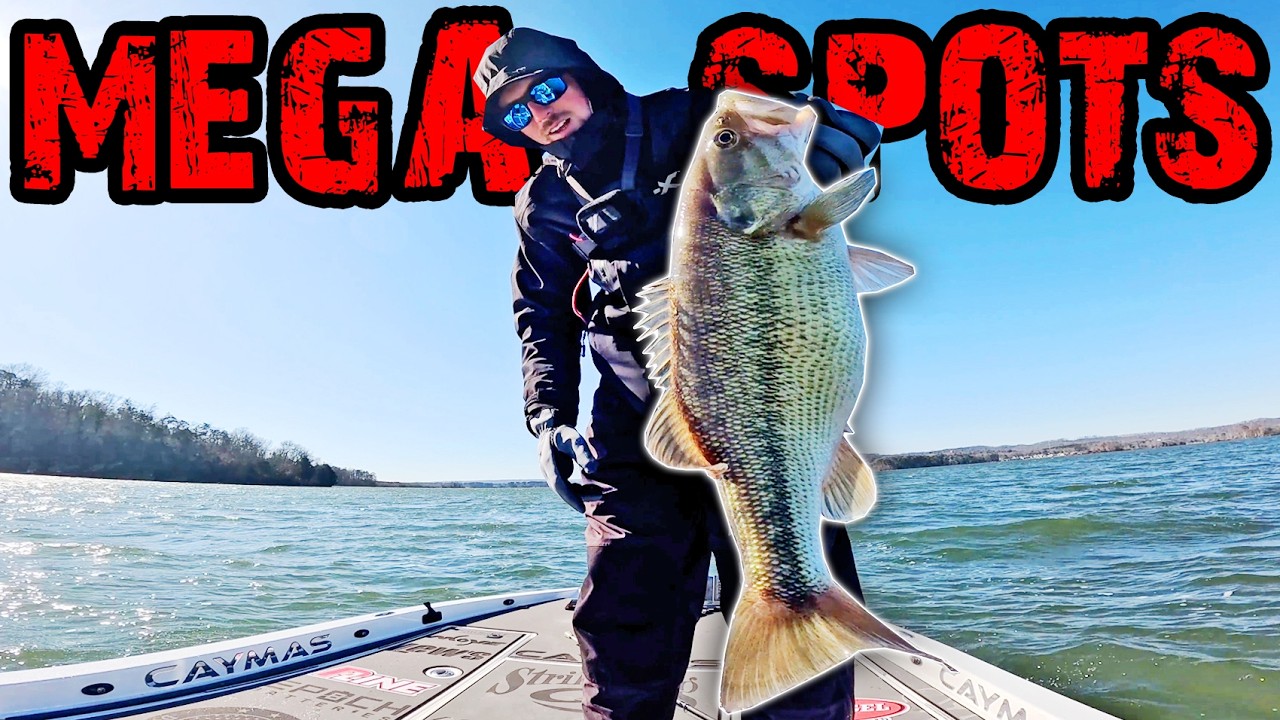 Catching MEGA SPOTS On LAKE GUNTERSVILLE In COLD CONDITIONS! (Channel Updates At End)