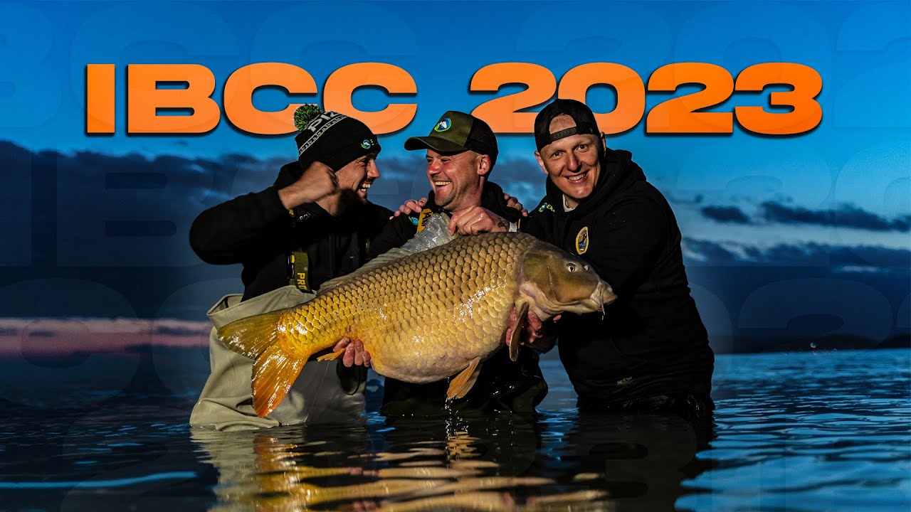 IBCC 2023