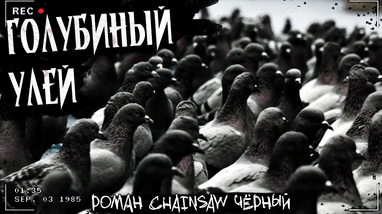ГОЛУБИНЫЙ УЛЕЙ | ЖУТКОЕ ОТКРЫТИЕ УЧЁНОГО | Страшная история