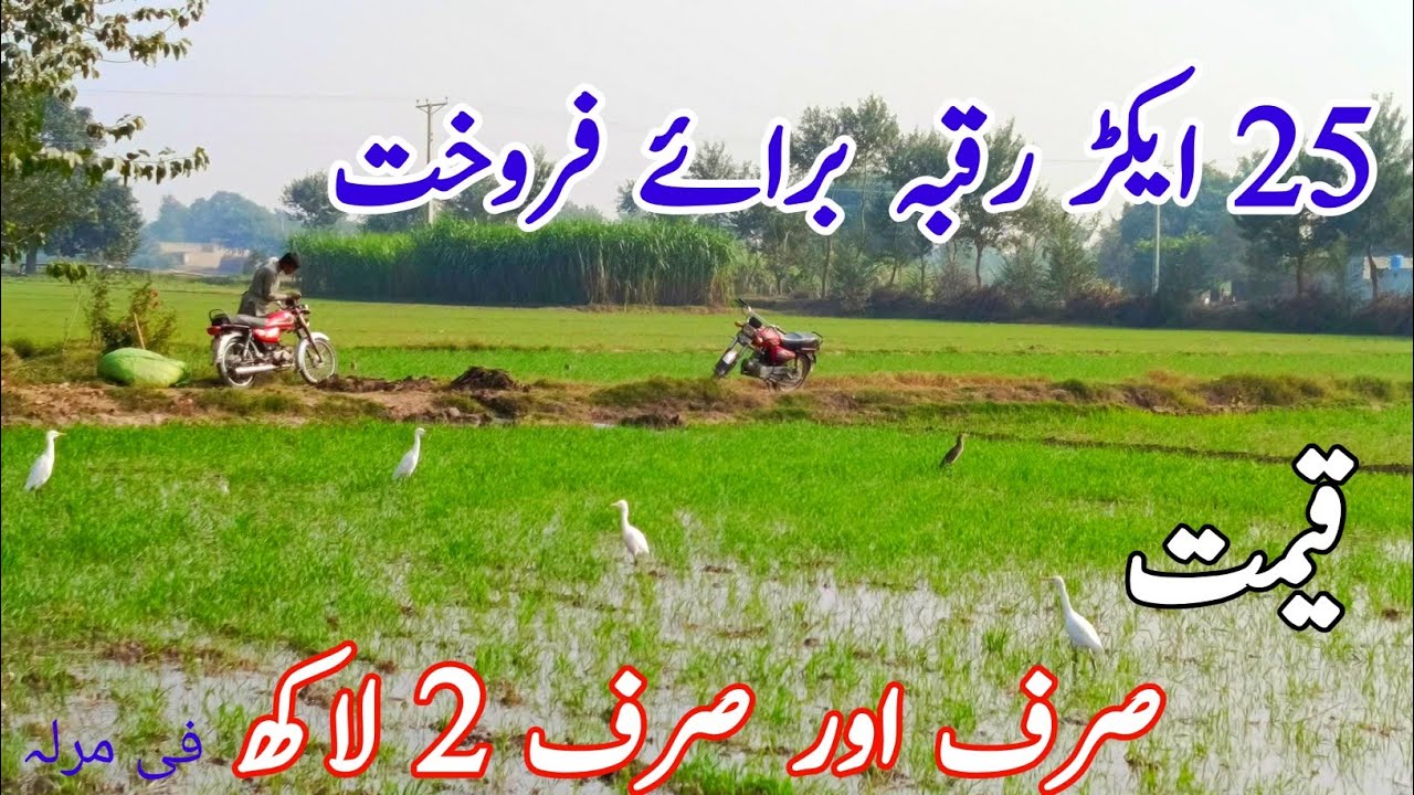 Agriculture land for sale in Punjab Pakistan | land for sale in Punjab Pakistan | 