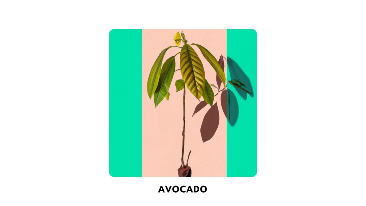 WASABI - Avocado