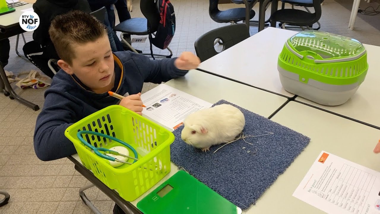 Kinderen enthousiast over doedag op Aeres Buitenpost