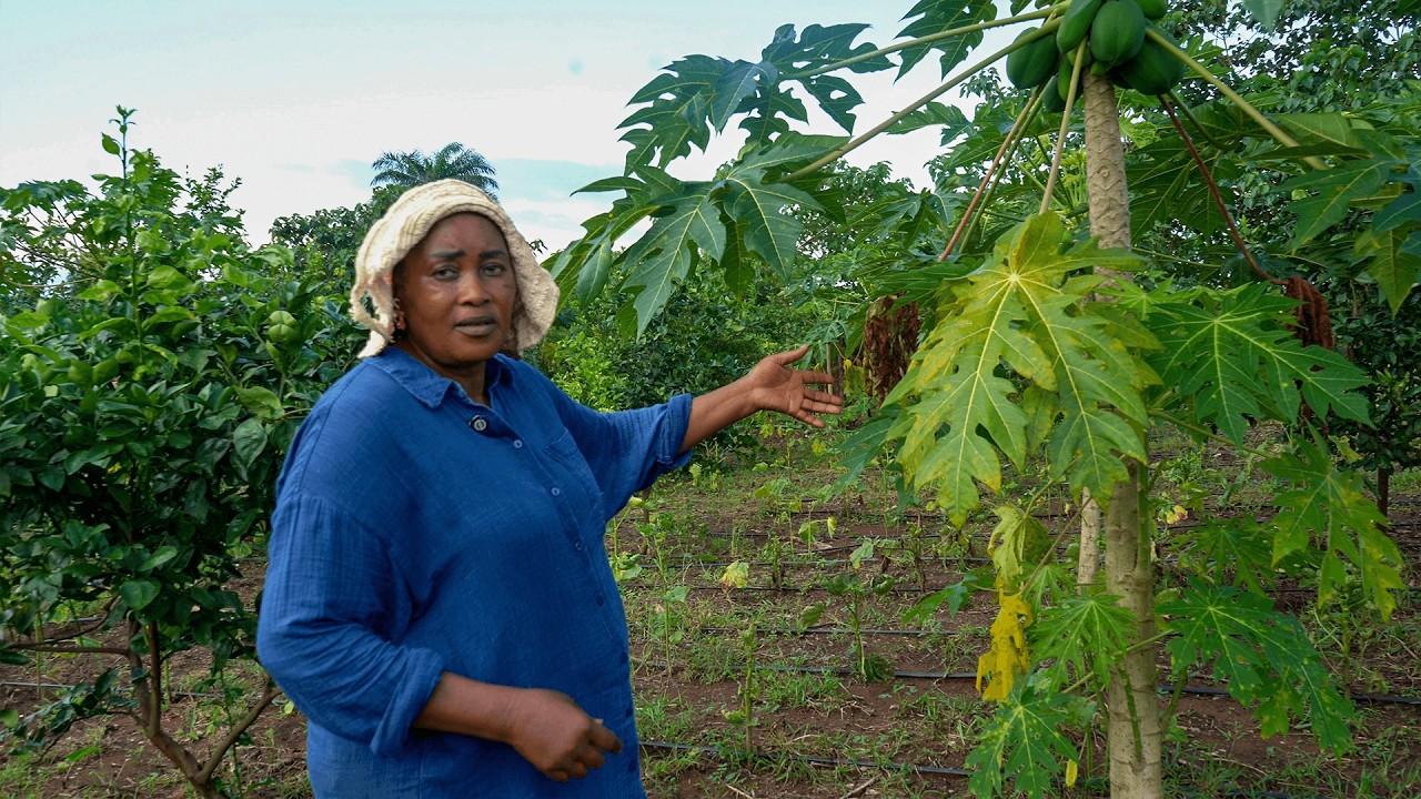 Elle a quitté la Belgique pour cultiver 10 hectares en Guinée – L’histoire inspirante de Mme Douno