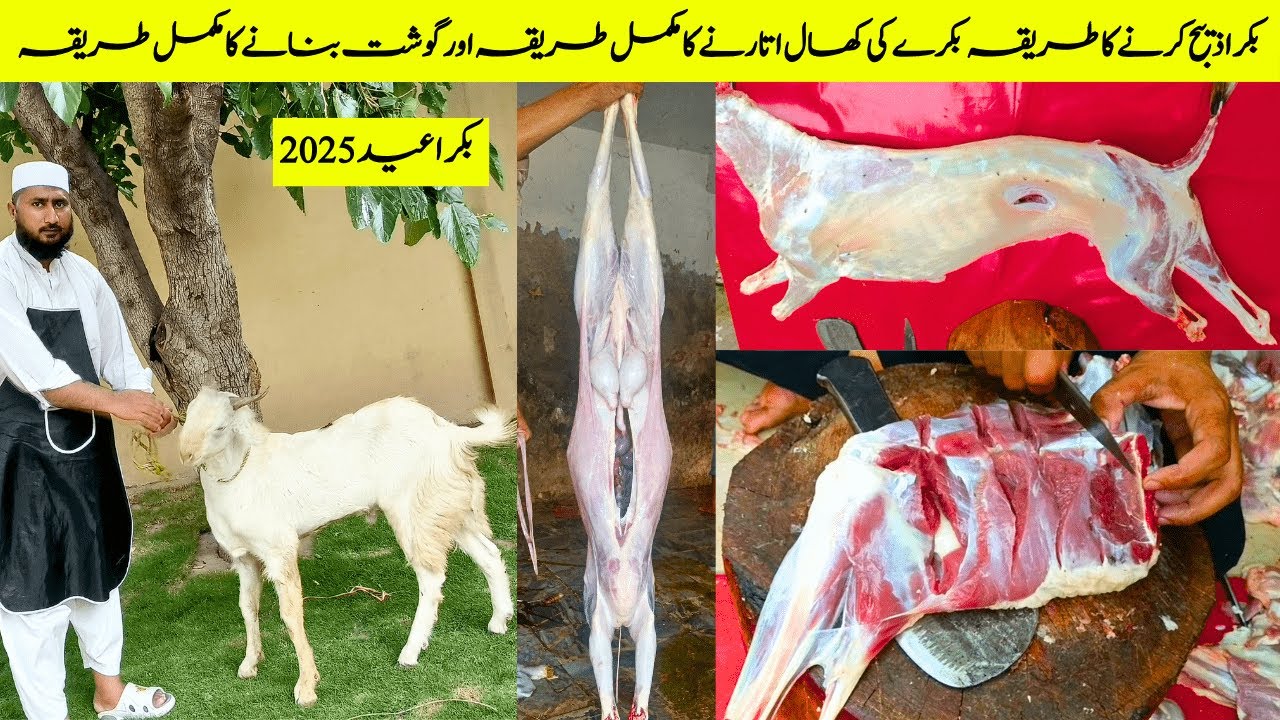 Goat Meet Cutting Skills | Bakre Ka Gusht Banane Ka Tarika | Bakre Ki Khaal Utarne Ka Trika