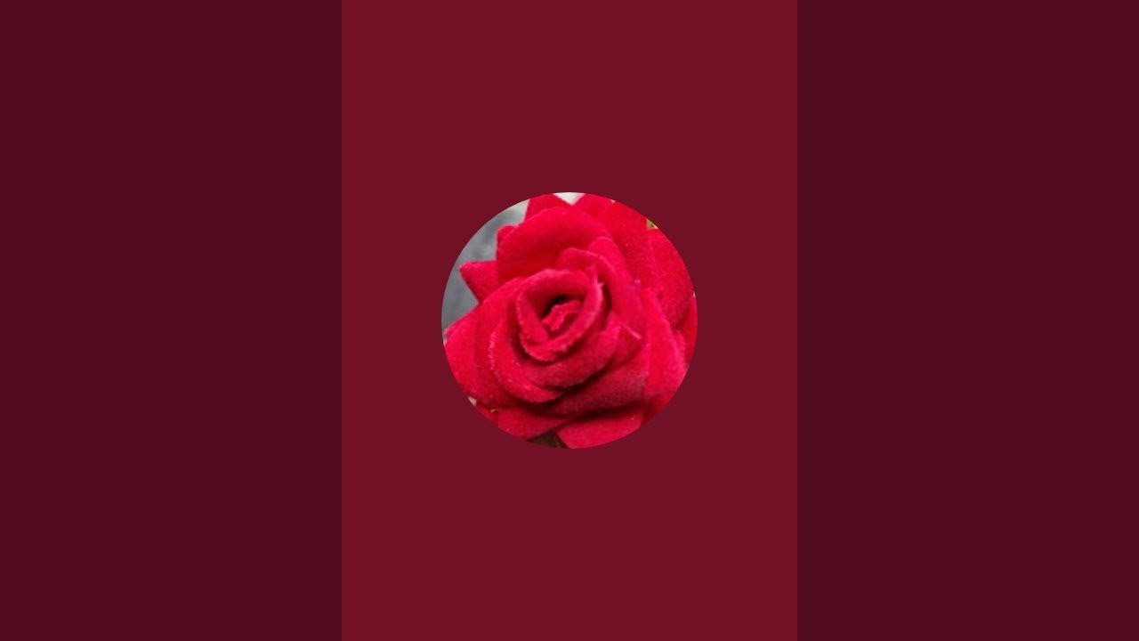 শীতের সকালের কিছু গল্প।