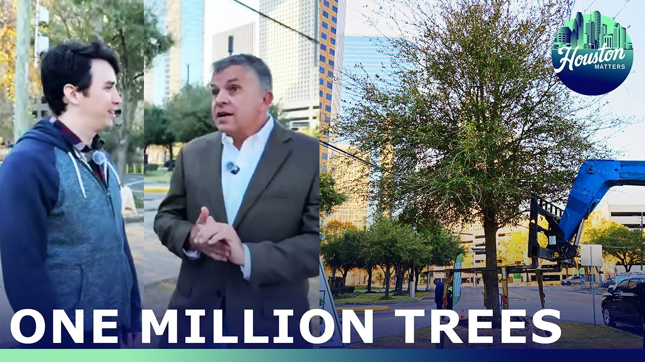 Trees for Houston Plants Its One Millionth Tree – Why It Matters