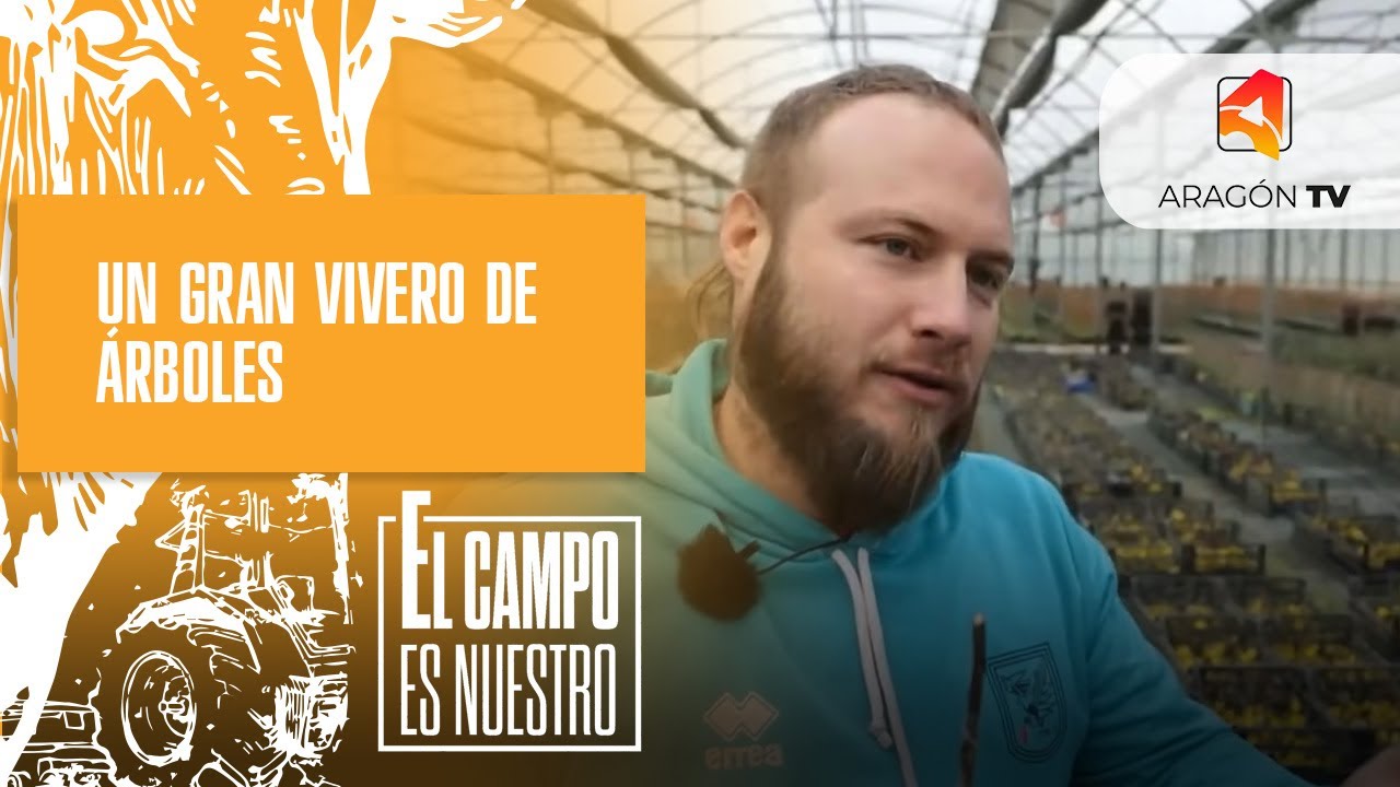 Un gran vivero de árboles
