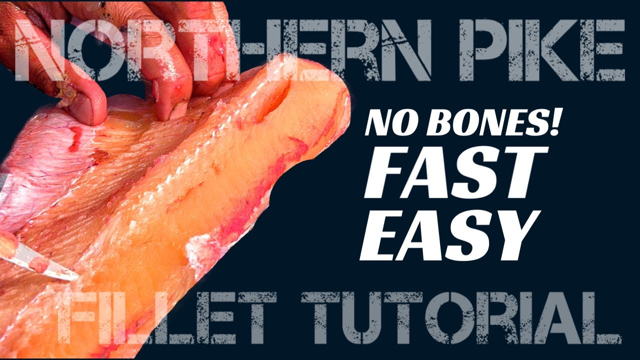 How to Fillet Pike without Bones