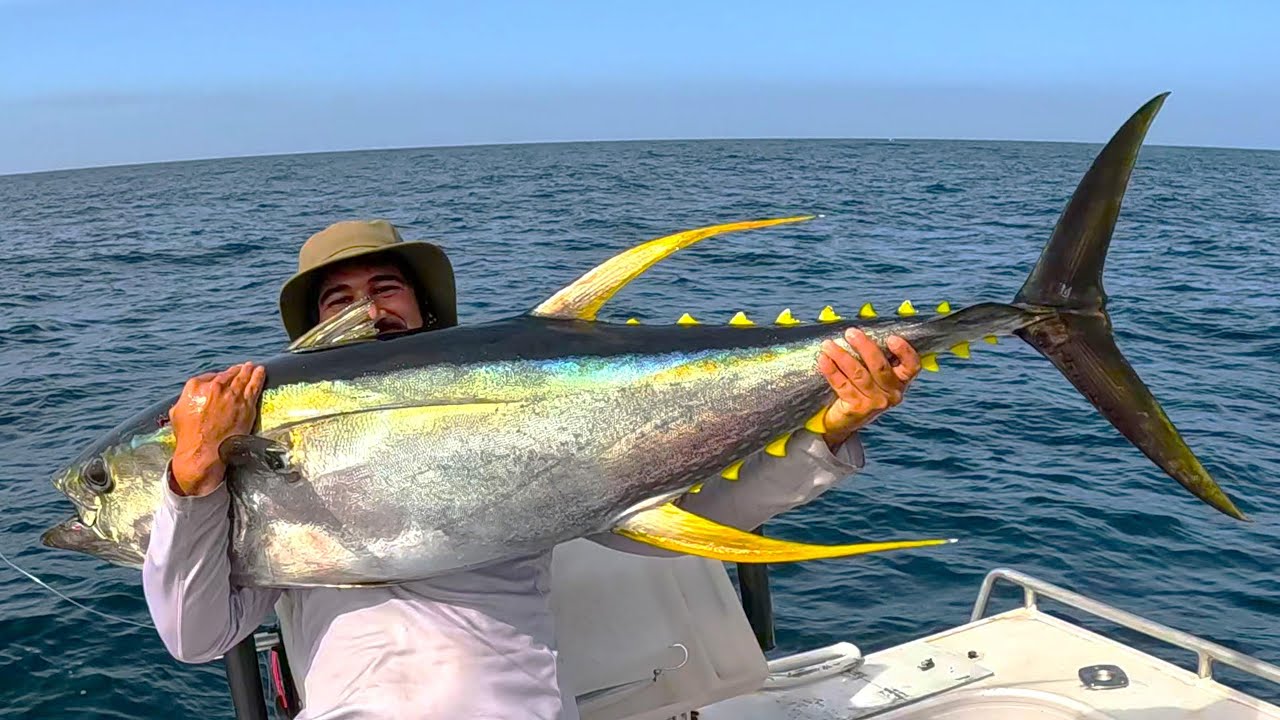 Giant Yellowfin Fishing Solo Offshore - NSW South Coast, Australia