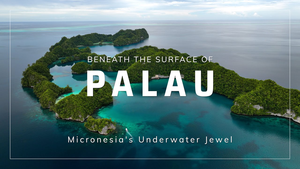 Beneath The Surface of Palau - Micronesia's Underwater Jewel | 4K HDR | 2024