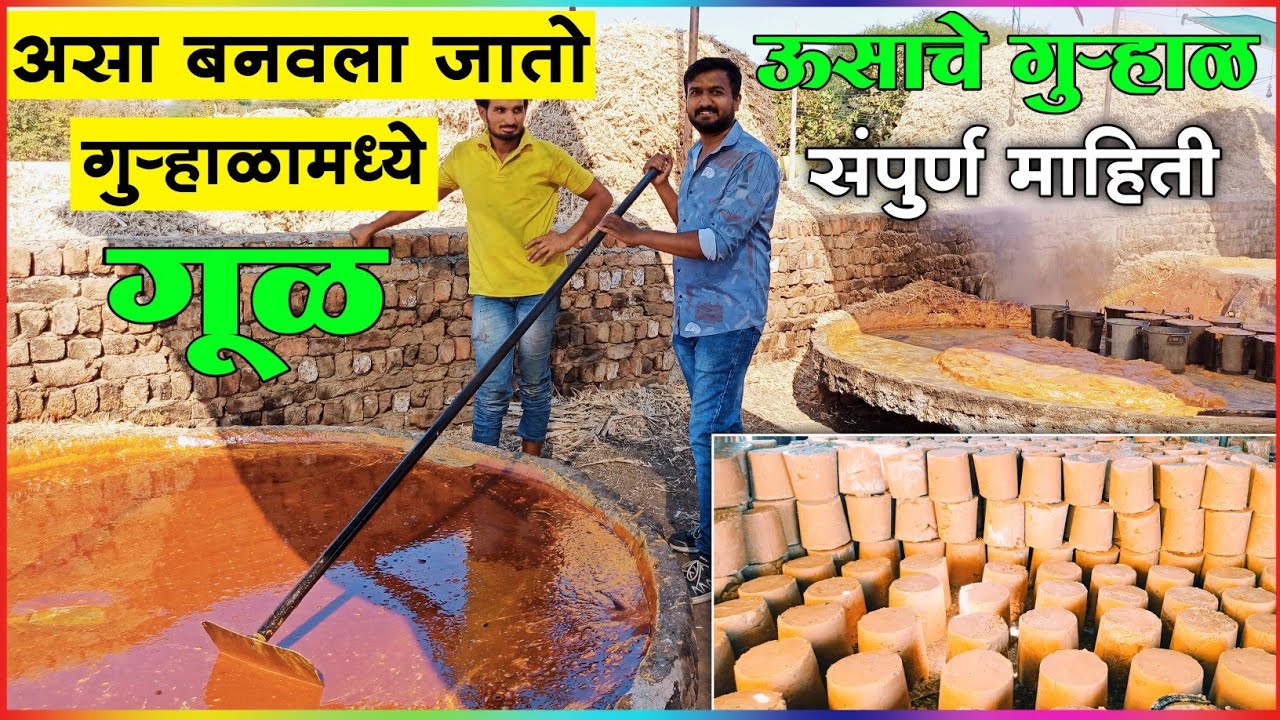 आपल्या घरी येणारा गूळ कसा बनतो एकदा नक्की बघा 🙄 | Jaggery Making Process | Gurhal Ghar