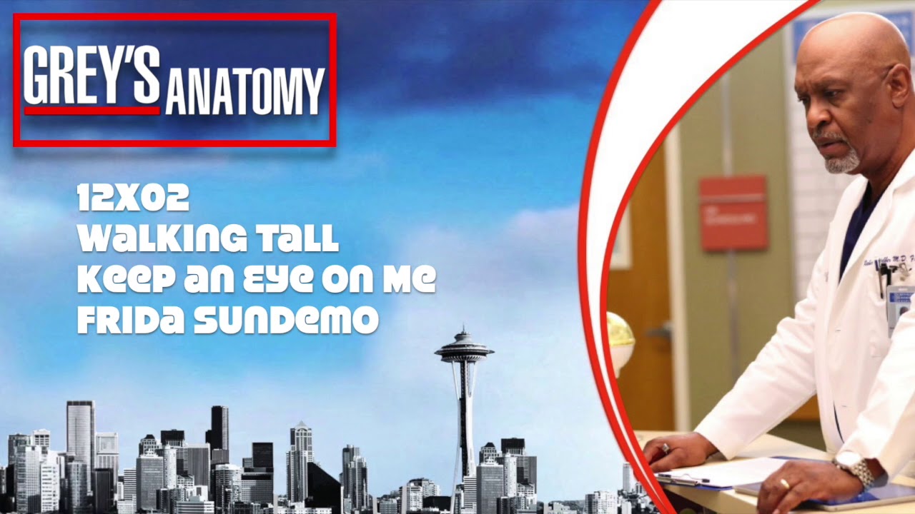 Grey's Anatomy Soundtrack - 