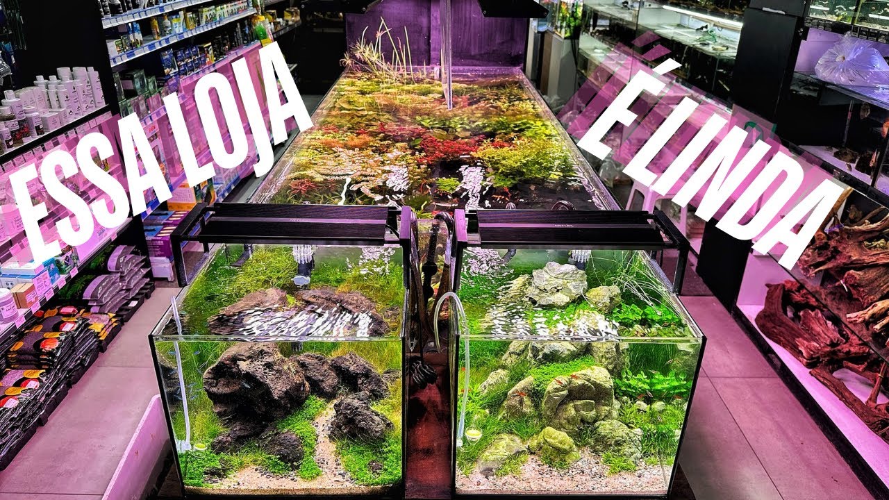 TOUR COMPLETO PELA ECOTOP, UMA DAS LOJAS MAIS ANTIGAS DO BRASIL!!!