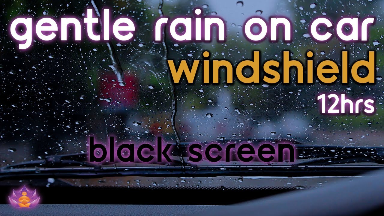 [Black Screen] Gentle Rain on Car Windshield No Thunder | Rain Ambience | Rain Sounds for Sleeping
