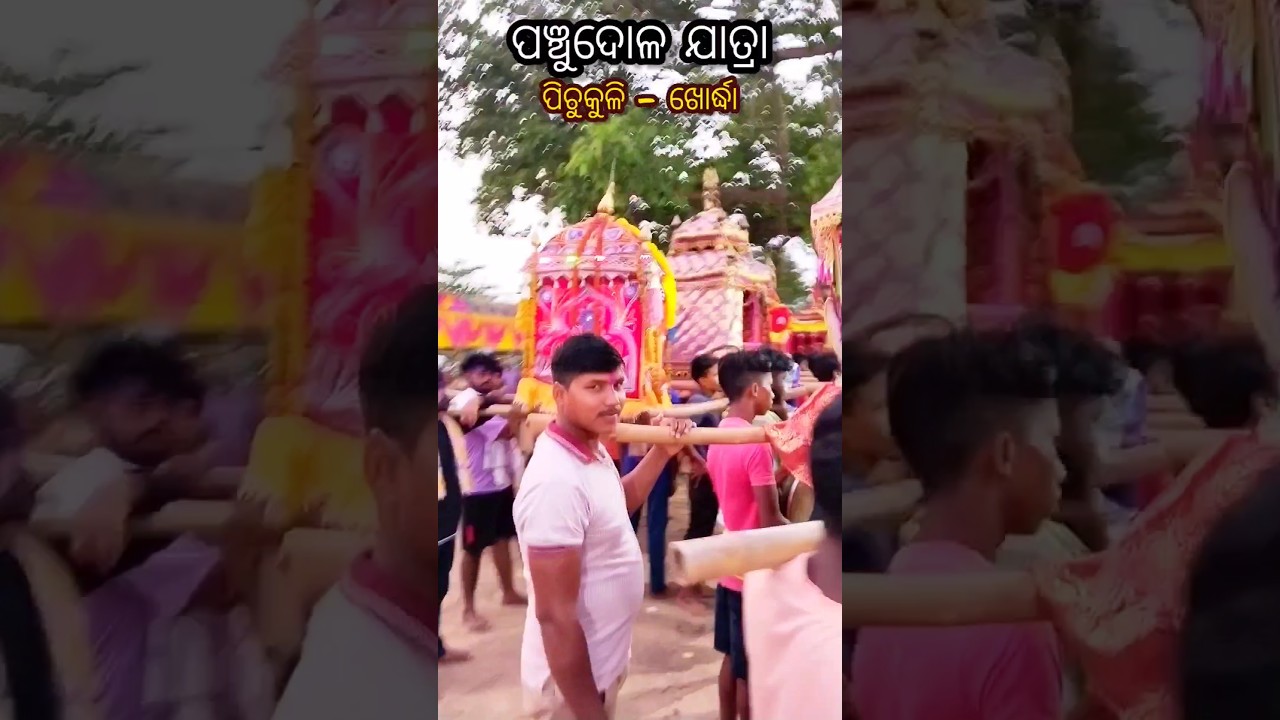 Panchu Dola Melana #pichukuli #dola #dolajatra #shortvideo #shortsong #shorts