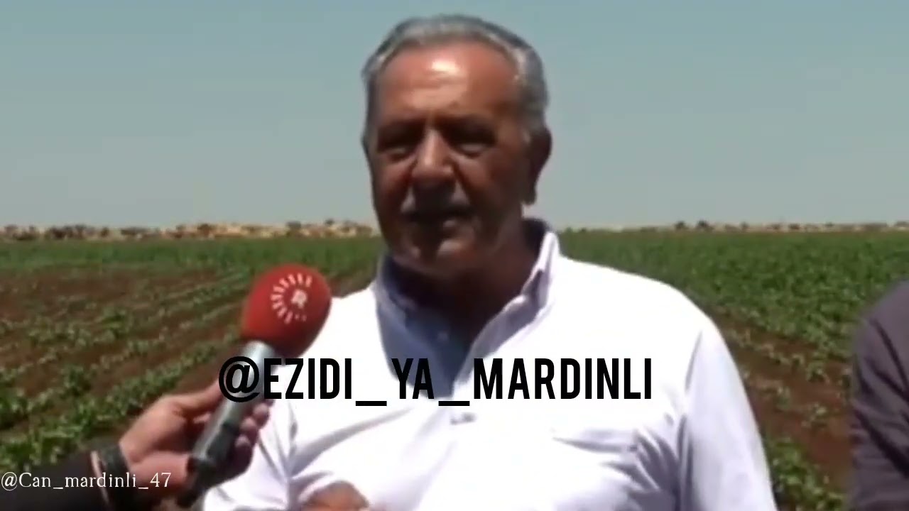 Gundê ZEWRA Viranşehir Abo sebri #ezidi #Viranşehir