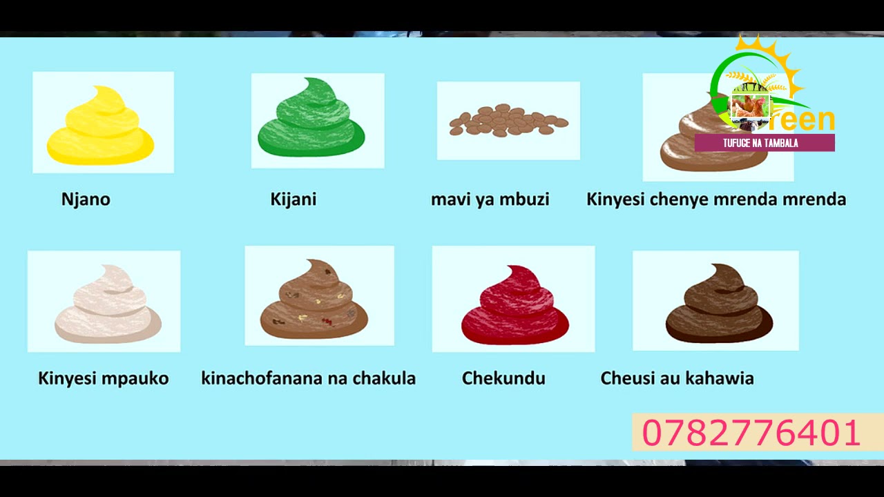 TAMBUA MAGONJWA YA KUKU KWA NJIA YA KINYESI CHAKE