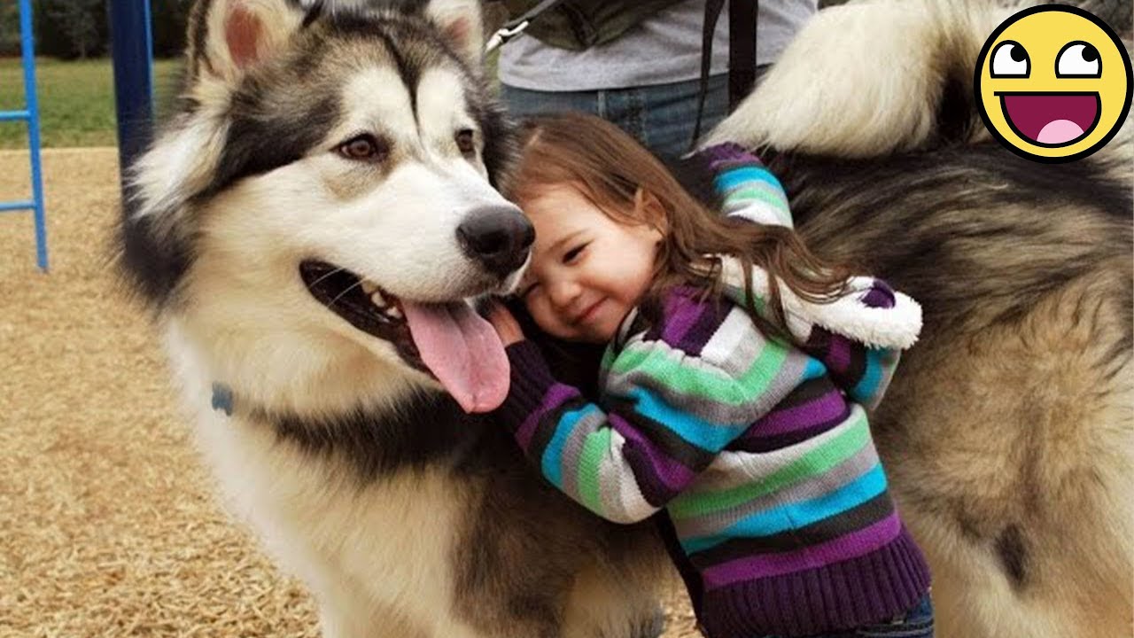 Эти моменты с малышами и животными просто невероятно милые 😍