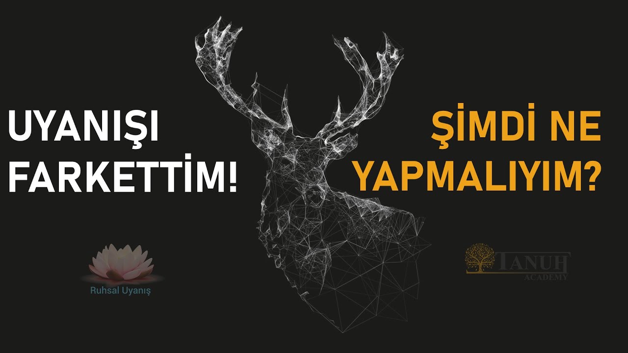 Uyanışı Farkettim! Şimdi Ne Yapmalıyım/Nereden Başlamalıyım?